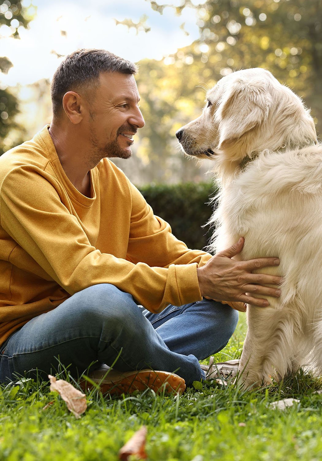 man playing with dog