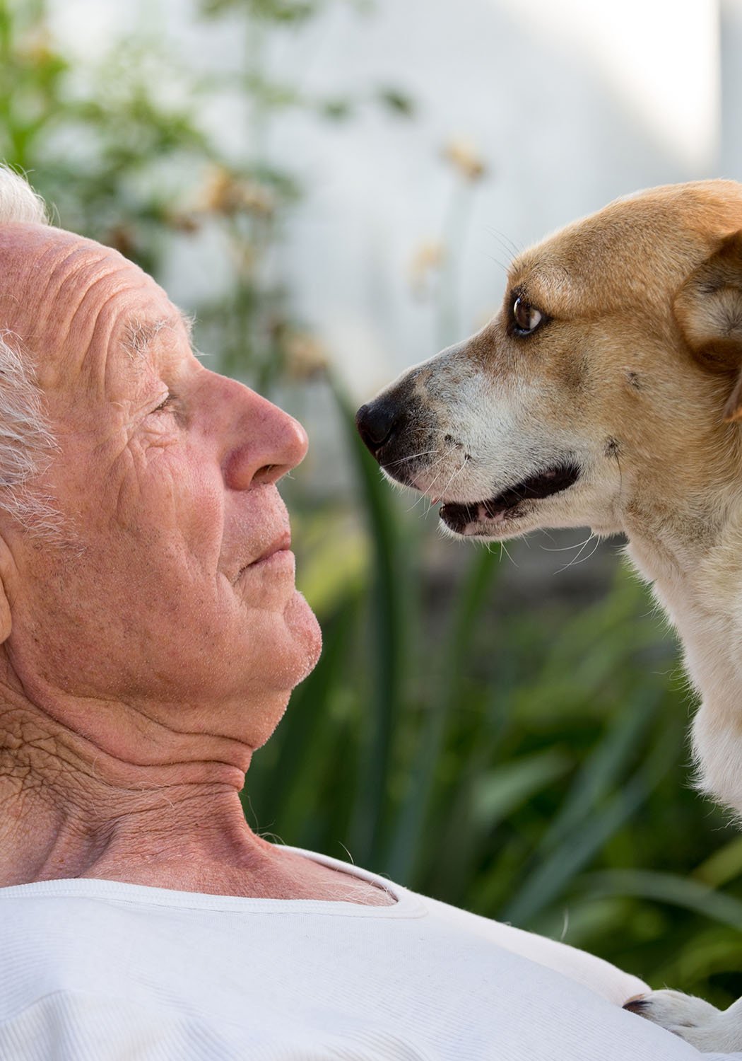 elder man staring at dog