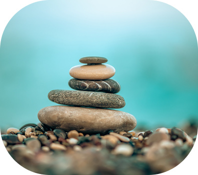shutterstock_2456364985 4-2
